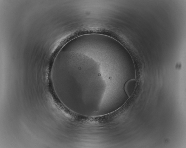X0000112030640200908031437