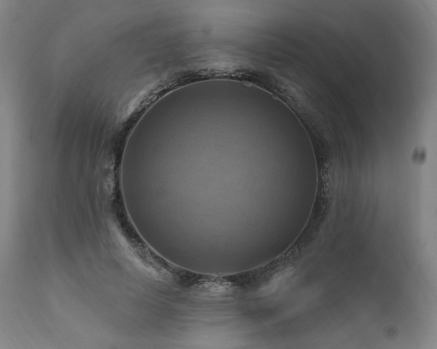 X0000112030642200908031437