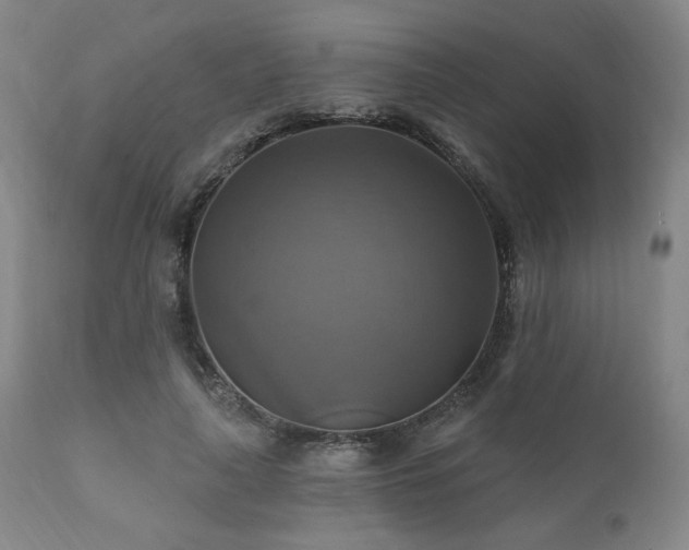 X0000112030643200908031437