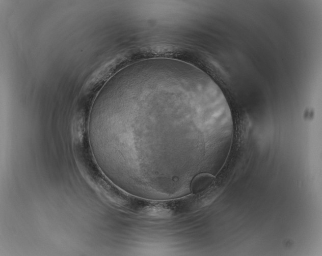 X0000112030644200908031437