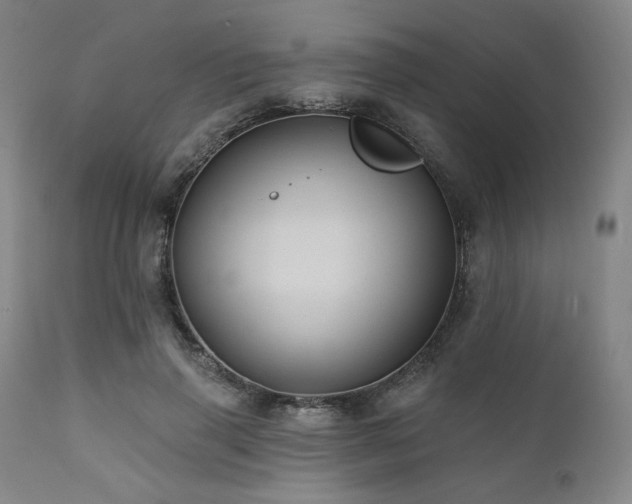 X0000112030645200908031437