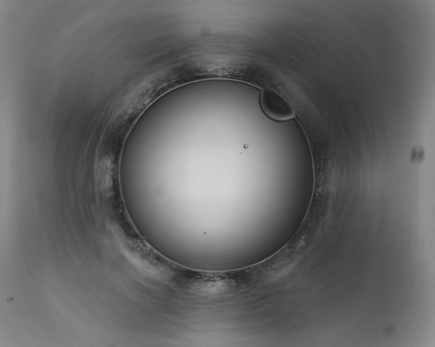 X0000112030646200908031437