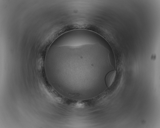 X0000112030647200908031437