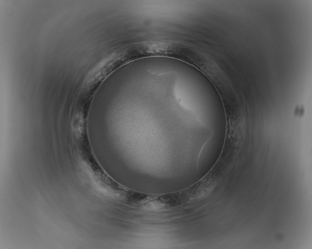 X0000112030648200908031437