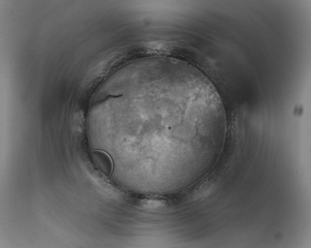X0000112030649200908031437