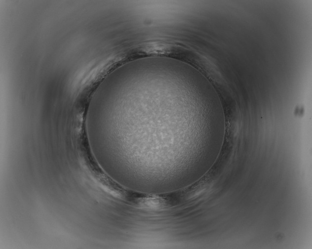 X0000112030652200908031437