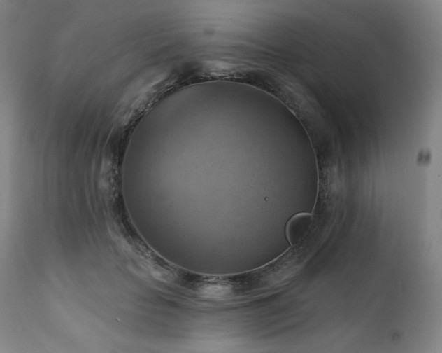 X0000112030653200908031437