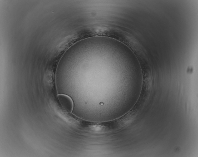 X0000112030654200908031437