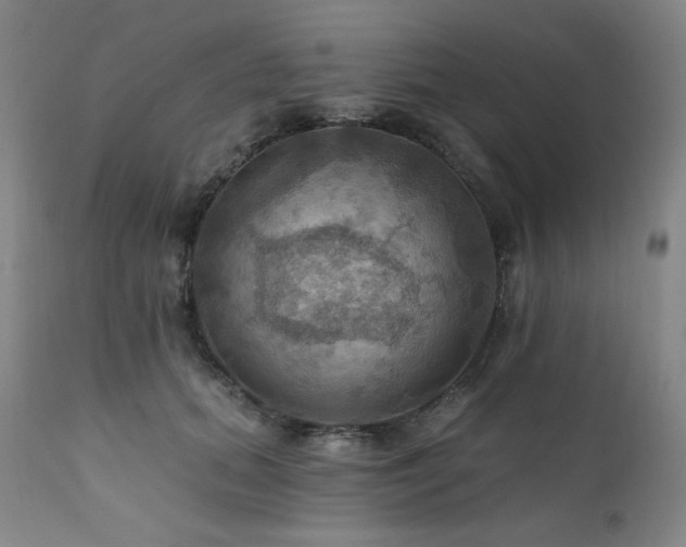 X0000112030655200908031437
