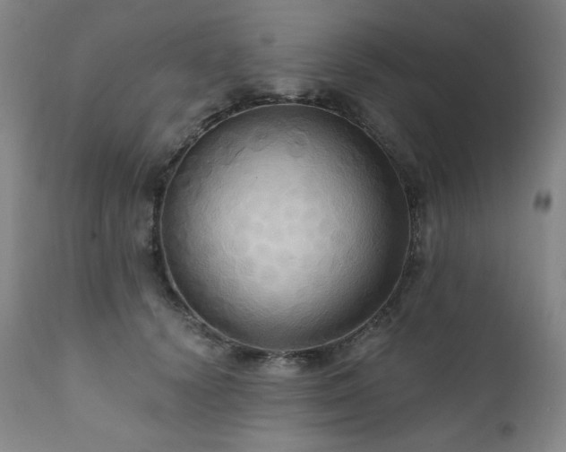 X0000112030656200908031437
