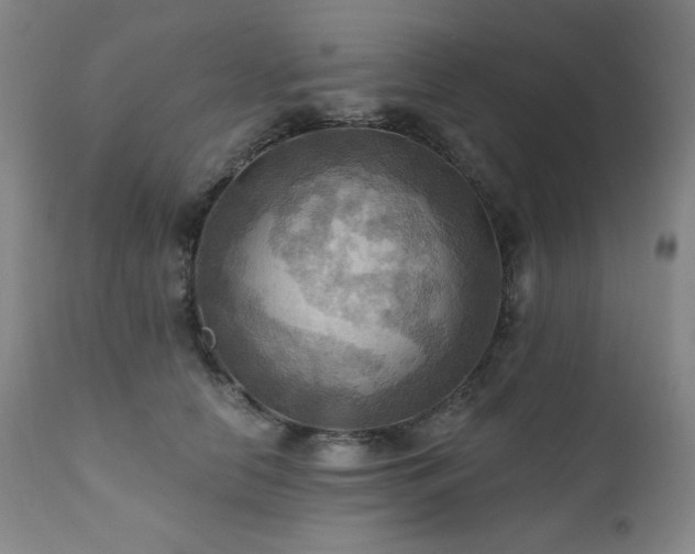 X0000112030658200908031437