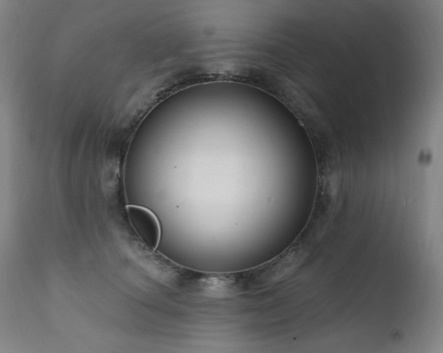 X0000112030660200908031437