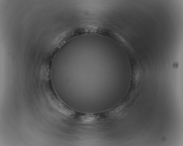 X0000112030661200908031437