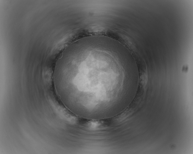 X0000112030662200908031437