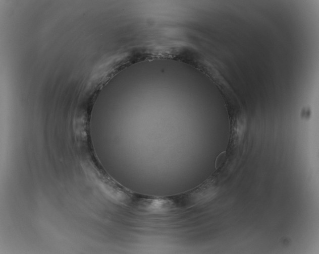 X0000112030663200908031437