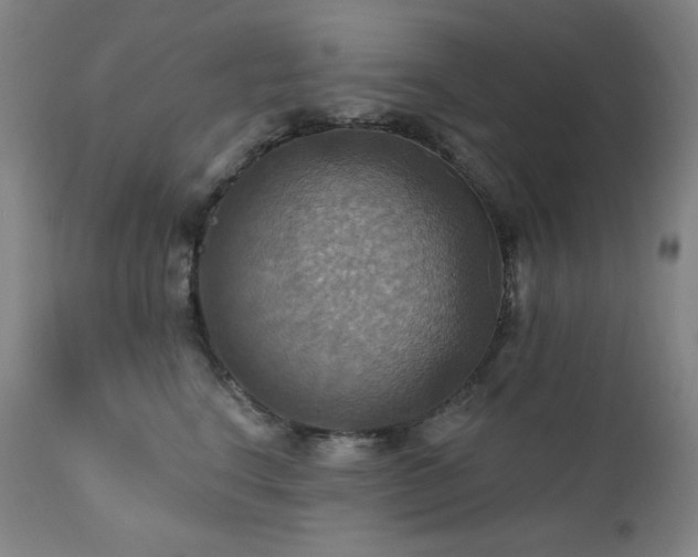 X0000112030664200908031437