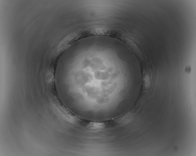 X0000112030665200908031437