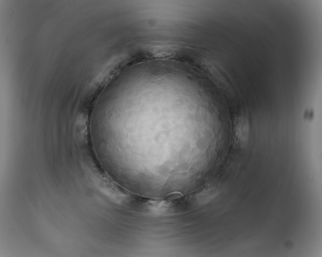 X0000112030667200908031437