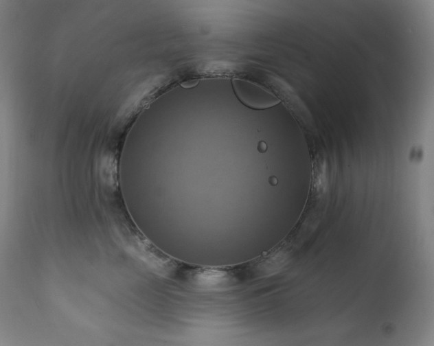 X0000112030669200908031437