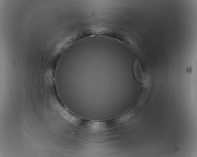 X0000112030670200908031438