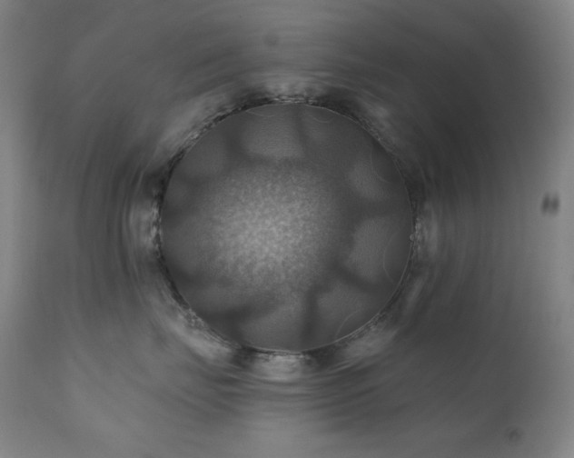 X0000112030671200908031438
