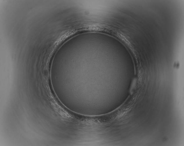 X0000112030673200908031437