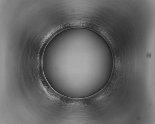 X0000112030674200908031437
