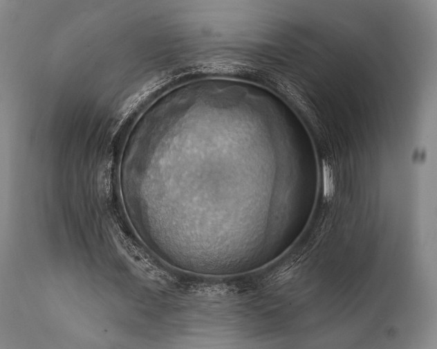 X0000112030675200908031437