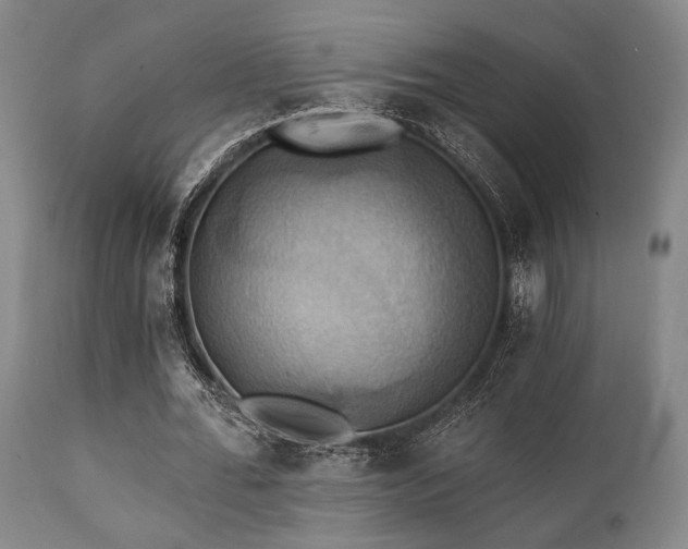 X0000112030676200908031436