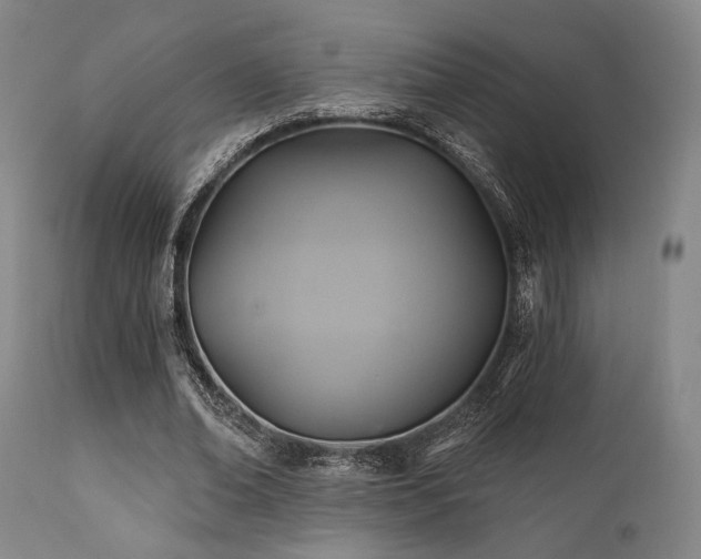 X0000112030678200908031436