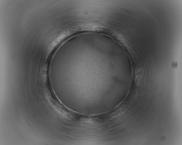 X0000112030679200908031436