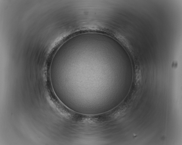 X0000112030680200908031436
