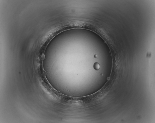 X0000112030683200908031436