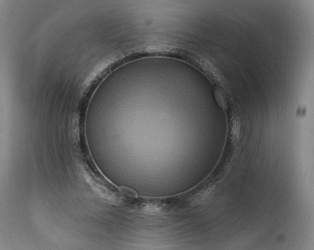X0000112030684200908031436