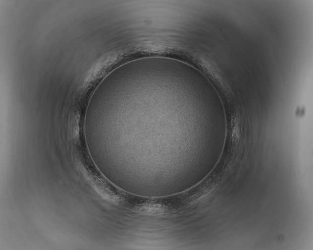 X0000112030685200908031436