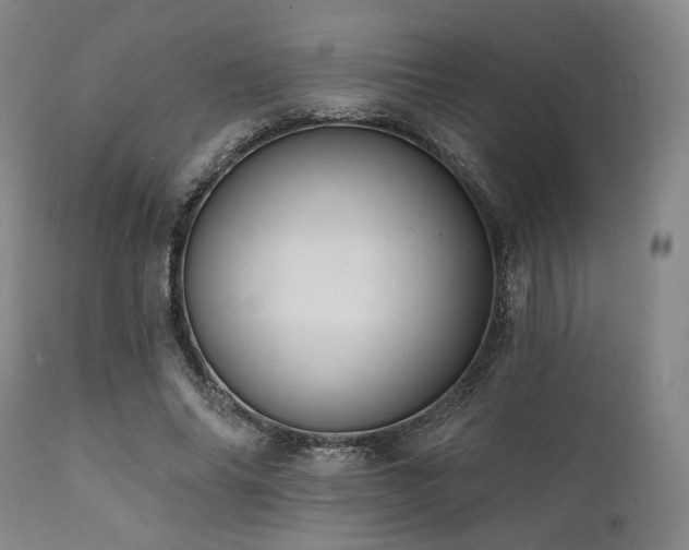 X0000112030686200908031436