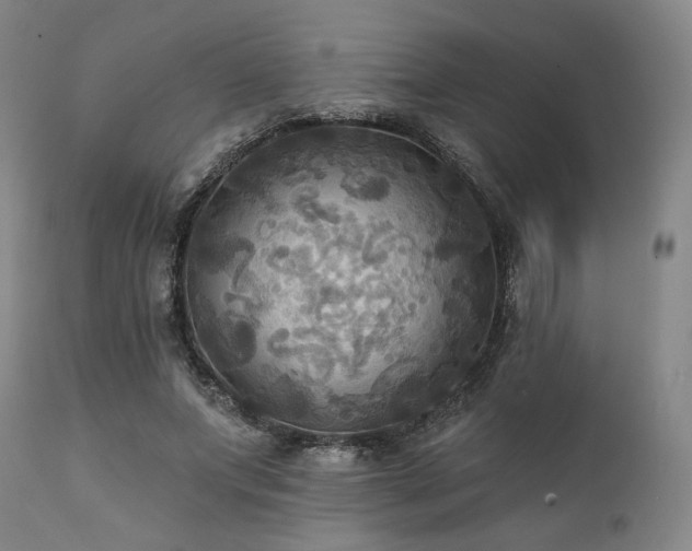 X0000112030687200908031436