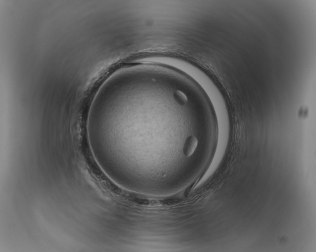 X0000112030688200908031436