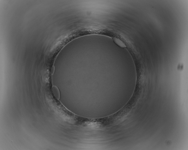 X0000112030689200908031436