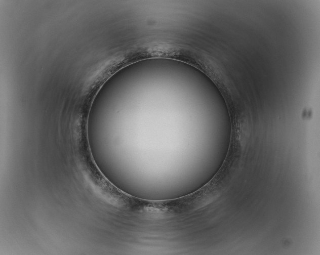 X0000112030690200908031436