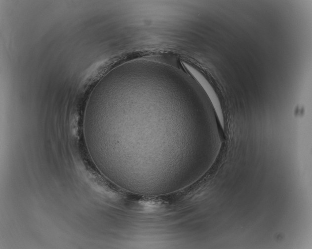 X0000112030693200908031436