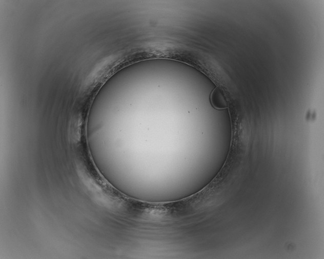 X0000112030694200908031436