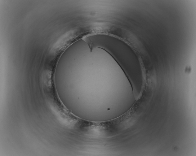 X0000112030696200908031436