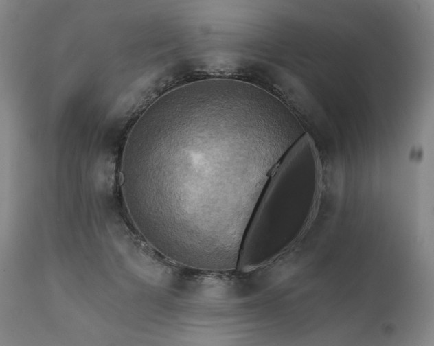 X0000112030697200908031436