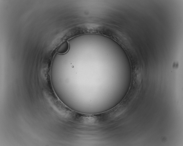 X0000112030698200908031436