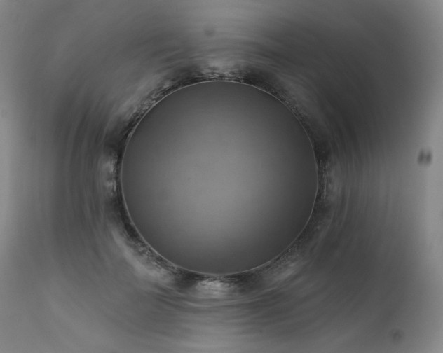 X0000112030699200908031436