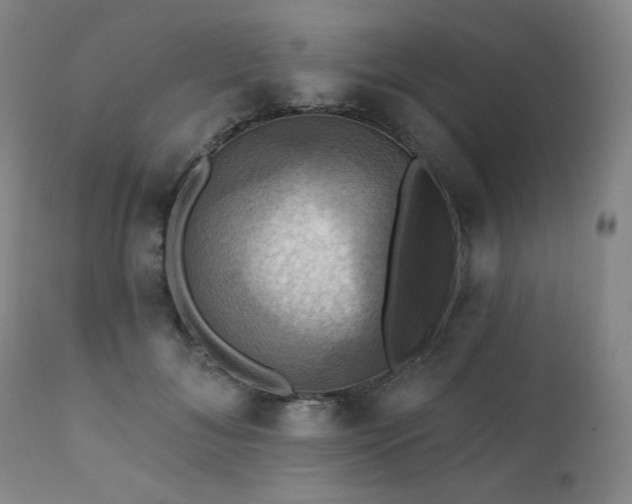 X0000112030700200908031436
