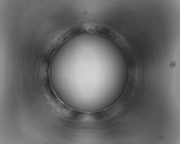 X0000112030702200908031436