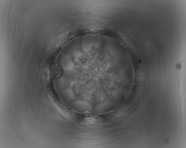 X0000112030703200908031436