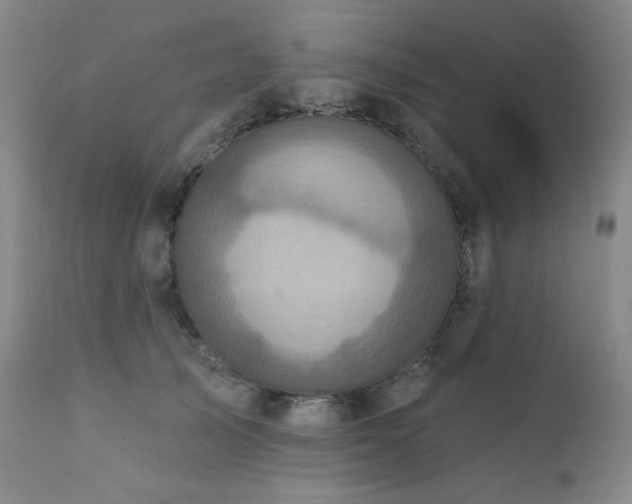 X0000112030705200908031436
